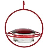Best Small Glass Hummingbird Feeder with Red Perch - New Bee & Wasp Proof Design - Hummers Love This Feeder!