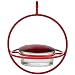 Best Small Glass Hummingbird Feeder with Red Perch - New Bee & Wasp Proof Design - Hummers Love This Feeder! primary