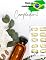 Livro Compêndio Plantas Medicinais 2 (Saúde Natural)