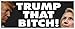 Anti Hillary Pro Trump Political Bumper Sticker Election 2016