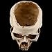 Resin Halloween Skull Head Flower Pot Planter Scene Decoration Candy Bowl