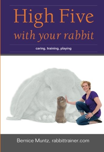 High Five with your rabbit: caring, training, playing by Bernice Muntz