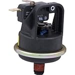 Sta-Rite Pool Water Pressure Switch 42001-0060S