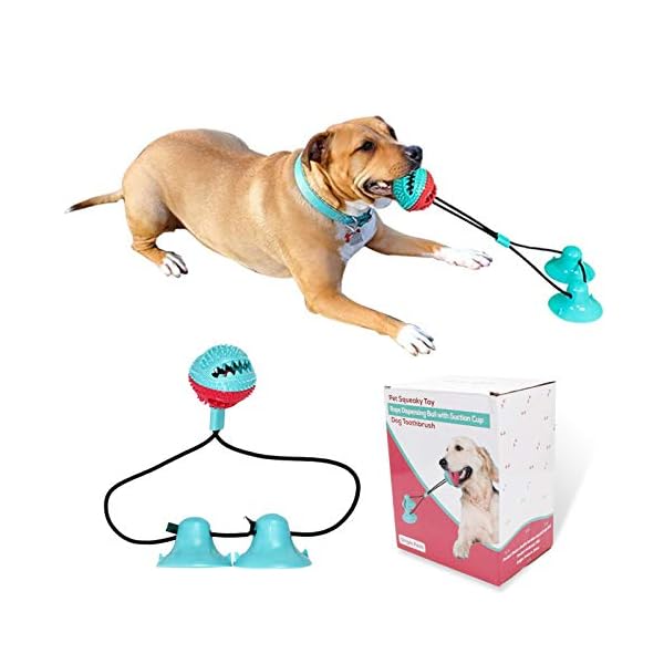 suction dog pull toy