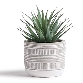 Kurrajong Farmhouse 8" x 4.5" Artificial Plant in Pot | Beautiful Faux Plant for Bedroom Decor | Fake Plant for Shelf Decor | Realistic Faux Succulent for Desk Decor | Artificial Succulent Plant 41 arUCex2L
