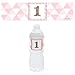 1st Birthday Girl - Fun to be One - Birthday Party Water Bottle Sticker Labels - Set of 10