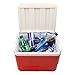 Easy Ice Reusable Ice Packs. 1 Sheet 4-ply.