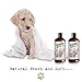 Sofee & Co. Natural Oatmeal Dog Puppy Shampoo - Clean Moisturize Soothe Soften Norma, Dry Itchy Allergy Sensitive Skin. Deodorize and Detangle 16 oz (Lavender & Mint)