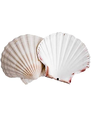 Vajilla para aperitivos y salsas | Amazon.es