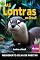 Livro As Lontras No Brasil