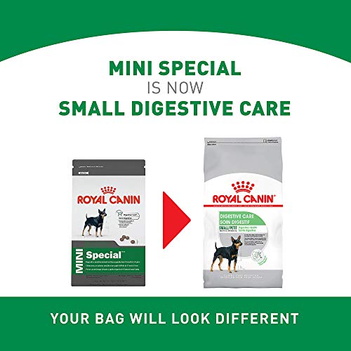 royal canin mini digestive
