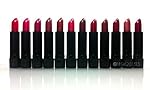 Princessa Aloe Lipsticks Set - 12 Fashionable Colors/ Long Lasting
