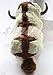 The Last Airbender 20 Inch Appa Avatar Plush Doll Toy By Fantastic House
