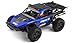 Exceed Racing Desert Monster 1/16 Scale Truck Ready to Run 2.4ghz (DD Blue)