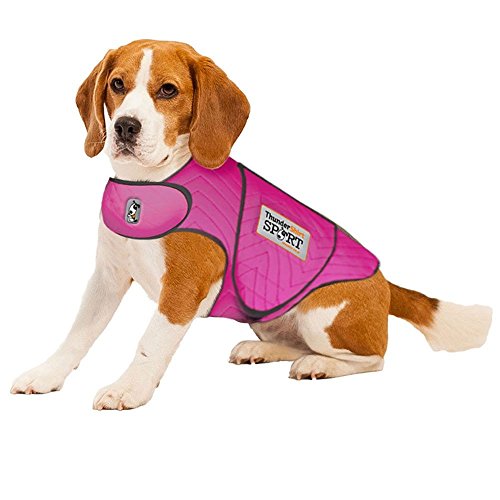 Best anti anxiety coat for dogs Sideror Reviews