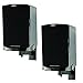 Pinpoint Mounts AM41B Side Clamping Bookshelf Speaker Wall Mount