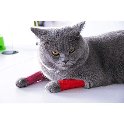 AUPCON Self Adhesive Bandage Wrap Vet Wrap Cohesive Bandages Bulk Dogs Self Adherent Wrap Non-Woven for Pet Animals & Ankle Sprains & Swelling 2 Inch x 5 Yards