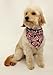 Patriotic Bandana for Dogs (L) Ties on 14