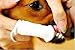 Petosan Microfiber Fingerbrush, 2 Pack, Battery Powered, White, for Dogs