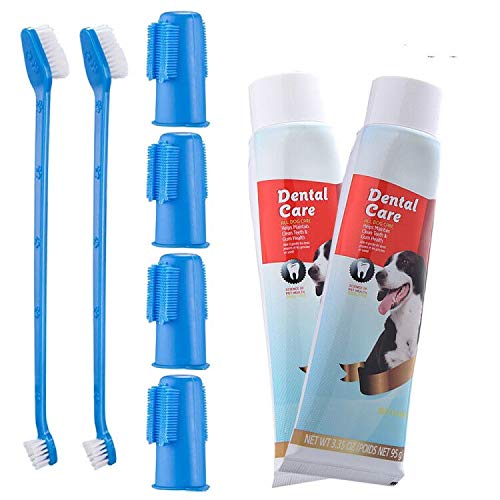 canine toothbrush and toothpaste
