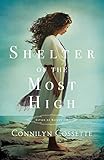Shelter of the Most High (Cities of Refuge) by Connilyn Cossette