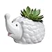 GeLive White Hedgehog Ceramic Planter Succulent Plant Pot Flower Window Box with Saucer Cartoon Animal Decor Indoor Outdoor
