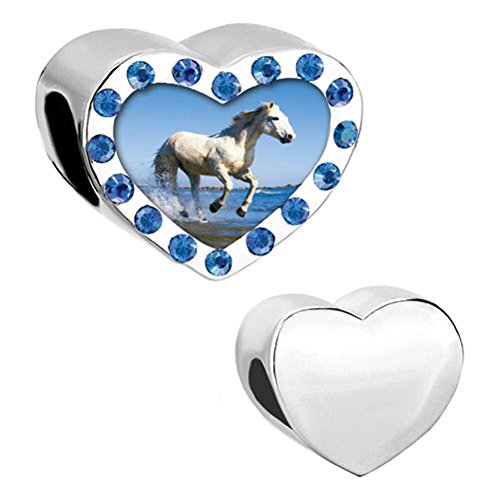 DemiJewelry Running Horse Animal Heart Charm Photo Beads for Bracelet Charms