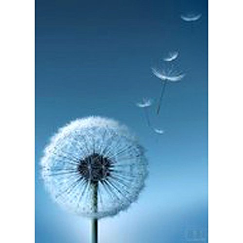 Norbi Painting With Diamonds Tranquil Dandelion Embroidery Diamond by Number Kits Rhinestone Painting Cross Stitch Kit Wall Art Decor for Kids Adult Beginner