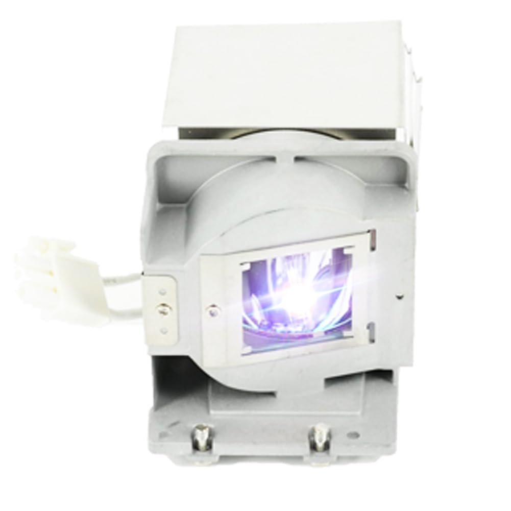 iReijomoi Replacement Lamp FX.PA884-2401 Bulb with Housing for OPTOMA DS327/DS329/DX327/DX329/ES550/ES551/EX550/EX551/S29/X29i Projectors