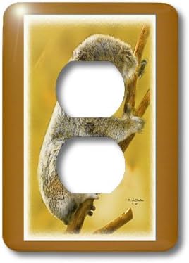 3drose Lsp 20530 6 Baby Koala Bear On A Tree Limb Digital Oil