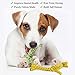 SunGrow Giraffe Cotton Knot Puppy & Ferret Ropes, Handwoven Chew Items for Small Breeds Dog, for Teeth and Gums, 2 Pieces per Pack