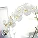 Miracliy 1 Piece Artificial Butterfly Orchid Flower Artificial Flower Plant for Home Decoration, White