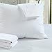 King Size 2 Pack Pillow Protector - Soft Terry Cotton - Waterproof Zippered Hypoallergenic Case, Block Bed Bugs and Dust Mites - by Calmnite
