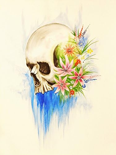Skull Candy 16x12 Art Print Poster Wall Decor by Ed Capeau