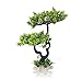 HITOP Aquarium Pets Plastic Plants for Fish Tank Decorations, Artificial Pine Tree Aquarium Décorfor Fish or Reptile