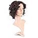 Curly Synthetic Wig Brown Short Hair 20 Styles Fluffy Heat Resistant Wig for Women Girls Lady,10'' / 10 inch #2 Dark brown