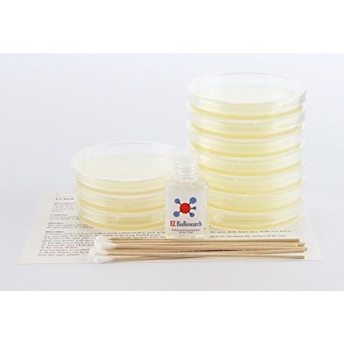ez bioresearch bacteria science kit