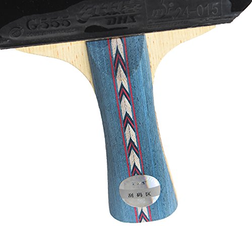 DHS Table Tennis Racket Ping Pong Paddle Hurricane No.2 (Long-handle) Double Pimples-in Bats Shake-hands Grip