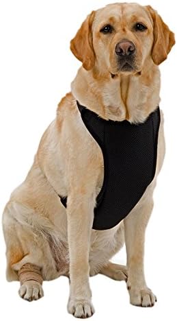 Kumfy Tailz Warming/Cooling Dog Harness, Adjustable Neck, Large, Black