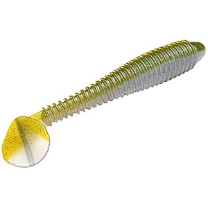 Strike King Rgsw534-141 Rage Nageur 5 3/4″, Kvd Magic