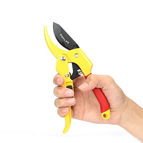 DIFFLIFE Professional SK-5 Steel Blade Sharp Anvil Pruning Shears with Safety Lock for Garden Work (Orange) - Thumbnail 2