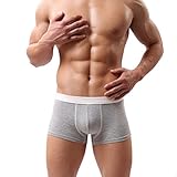Voberry® Sexy Underwear Men's Boxer Briefs Shorts Bulge Pouch soft Underpants (XL, Gray)