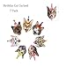 Gyzone Birthday Cat Garland 8 Packs, Funny Photographic Cat Faces Birthday Banner, Kitties Bday Party Bunting Decorations