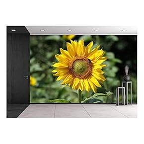 Closeup of The Sunflower with a Bee - Removable Wall Mural | Self-Adhesive Large Wallpaper - 66x96 inches