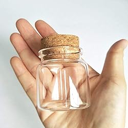 luzen 2Pcs 50ml Empty Clear Glass Bottles Vials