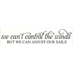 Wall Decor Plus More WDPM3517 We Can't Control The Wind Inspirational Wall Decal Quote, 36 by 7", Black 41 f9YN2MJL