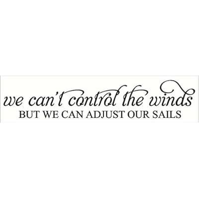 Wall Decor Plus More WDPM3517 We Can't Control The Wind Inspirational Wall Decal Quote, 36 by 7", Black 41 f9YN2MJL