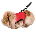 Trixie Pet Products 61512 1.20 m Guinea pig Soft Harness with Leash-Nylon, Various, 18-25cm