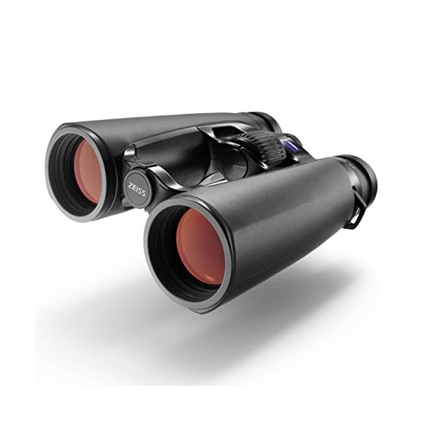 Zeiss 10x42 Victory SF Fernglas mit LotuTec Schutzbeschichtung (schwarz) – Bild 4