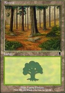 Magic: the Gathering - Forest - Odyssey - Foil